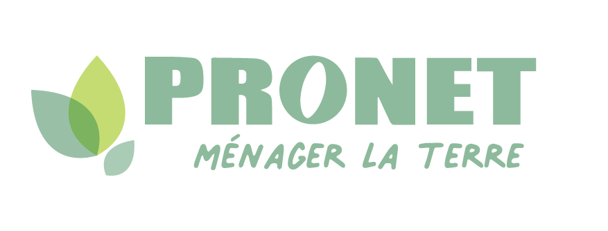 logotype pronet branding