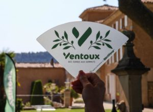 BRANDING nouvelle marque destination Ventoux