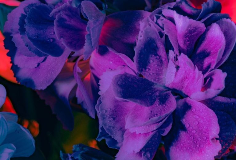 AOC Rasteau, opération de relations presse