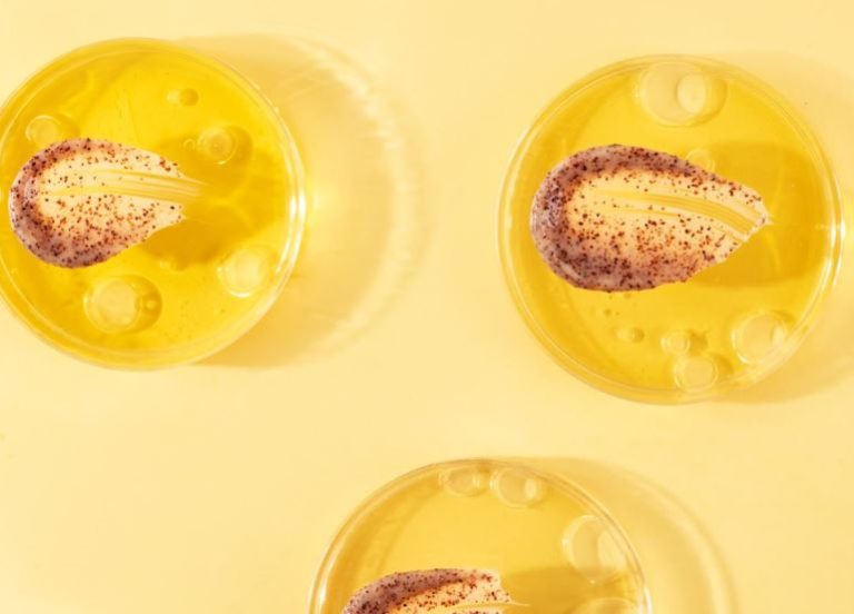 Silvain, scénographique boutique