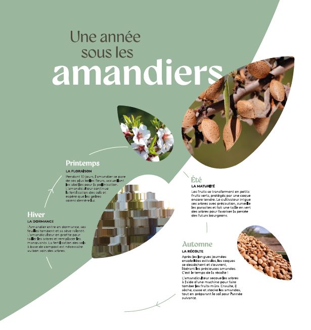 scenographie-agence-communication